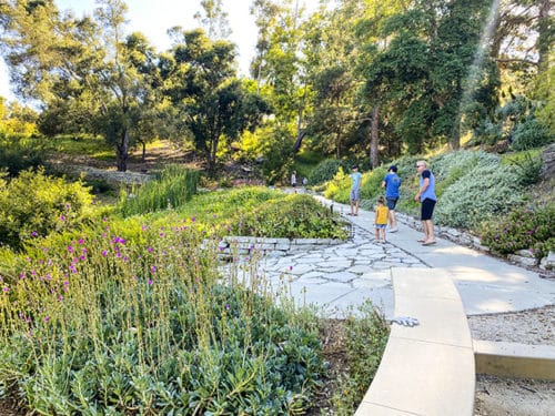 Tips for Visiting Niguel Botanical Preserve in Laguna Niguel - Popsicle ...