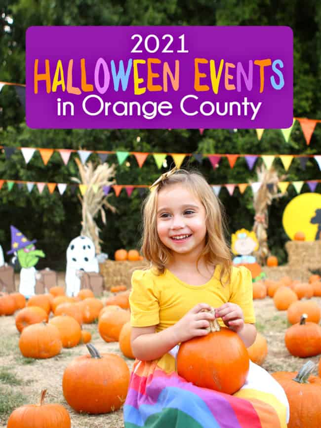 10 Ways to Celebrate Fall in Orange County Popsicle Blog